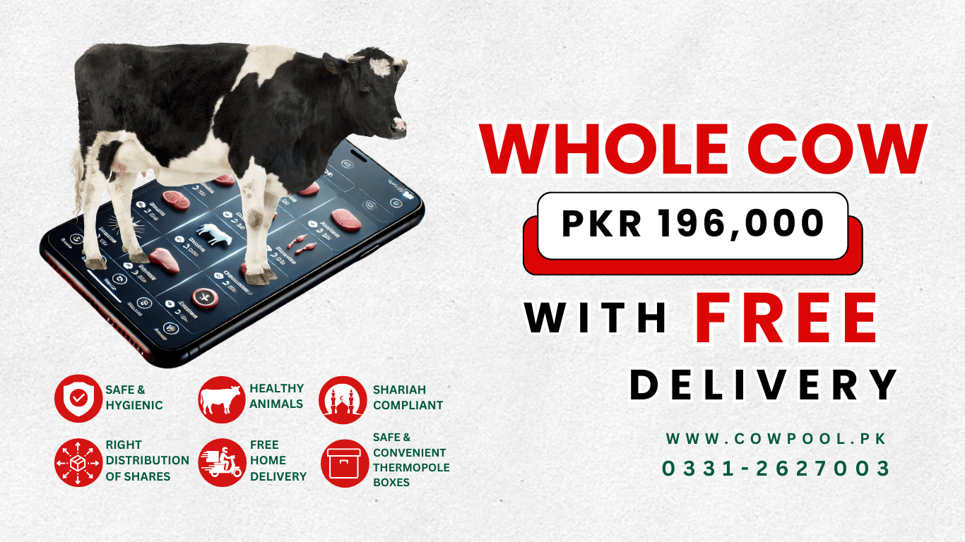 Online Qurbani 2025